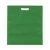 Foto Sacola de TNT com Alça CB 2081N Imagem Verde