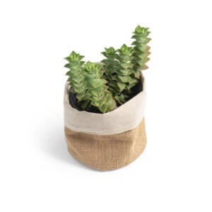 Foto Saco CB 94574 Imagem (4)