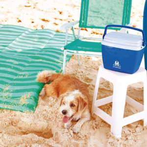 Foto Caixa Térmica 6L MOR Imagem Azul (3)