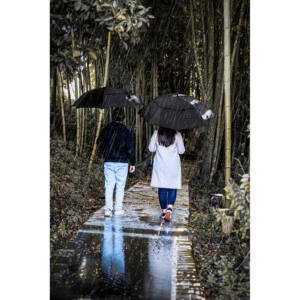 Foto Guarda-Chuva CB 99091 Imagem (6)