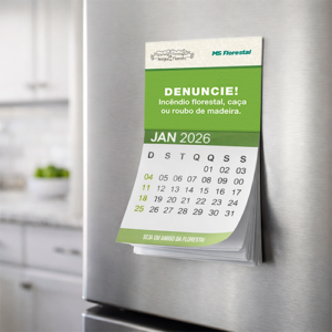 Foto &Iacute;m&atilde; de Geladeira com Calend&aacute;rio Imagem (2)